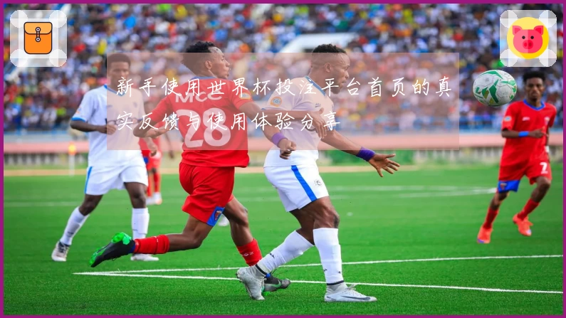 新手使用世界杯投注平台首页的真实反馈与使用体验分享