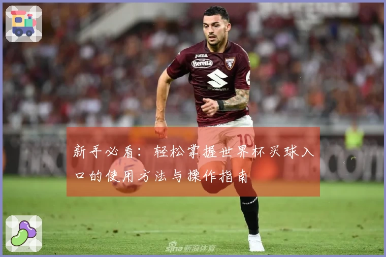 新手必看：轻松掌握世界杯买球入口的使用方法与操作指南