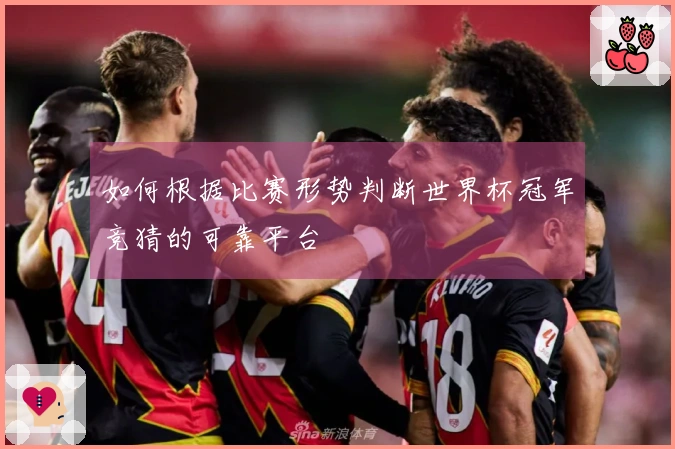 如何根据比赛形势判断世界杯冠军竞猜的可靠平台