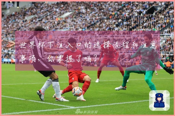 世界杯下注入口的选择流程和注意事项，你掌握了吗？
