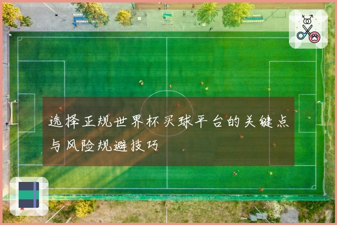 选择正规世界杯买球平台的关键点与风险规避技巧