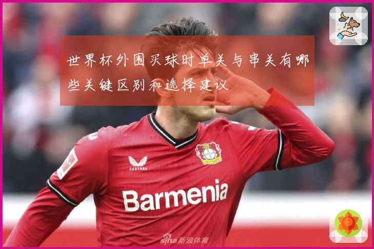 世界杯外围买球时单关与串关有哪些关键区别和选择建议