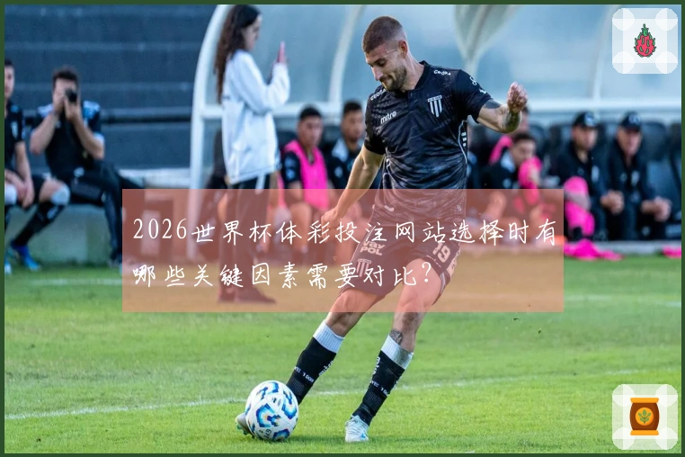 2026世界杯体彩投注网站选择时有哪些关键因素需要对比？