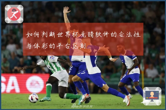 如何判断世界杯竞猜软件的合法性与体彩的平台区别