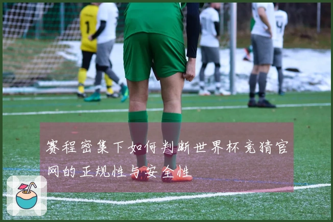 赛程密集下如何判断世界杯竞猜官网的正规性与安全性