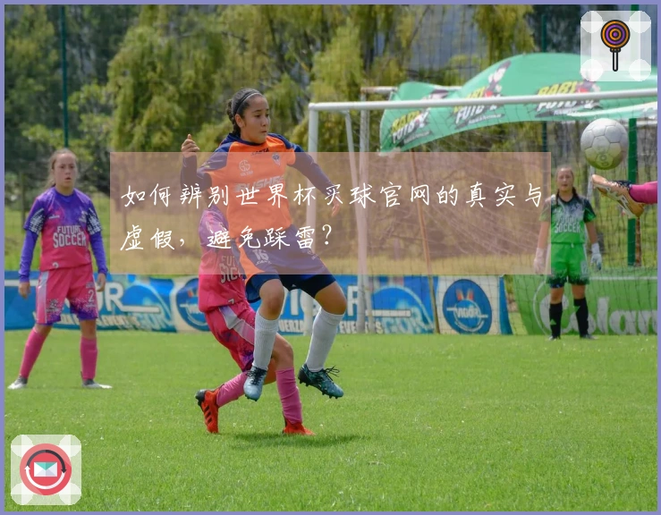 如何辨别世界杯买球官网的真实与虚假，避免踩雷？