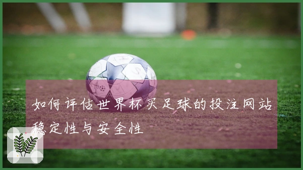 如何评估世界杯买足球的投注网站稳定性与安全性