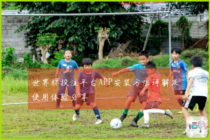 世界杯投注平台APP安装方法详解及使用体验分享