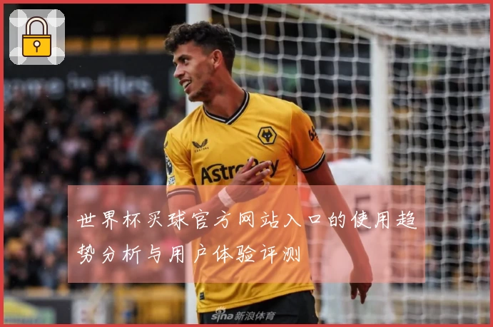 世界杯买球官方网站入口的使用趋势分析与用户体验评测