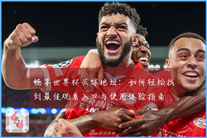 畅享世界杯买球地址：如何轻松找到最佳观看入口与使用体验指南