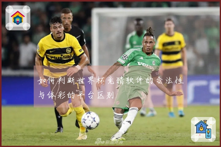 如何判断世界杯竞猜软件的合法性与体彩的平台区别