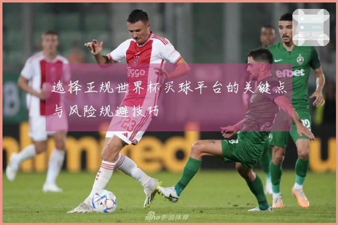 选择正规世界杯买球平台的关键点与风险规避技巧