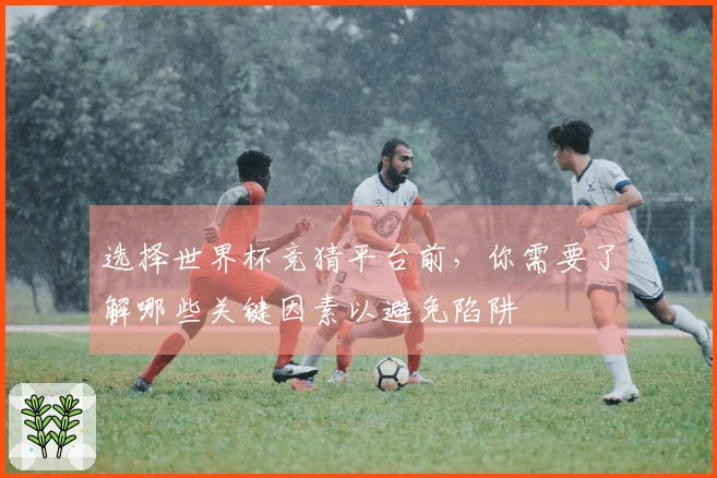 选择世界杯竞猜平台前，你需要了解哪些关键因素以避免陷阱