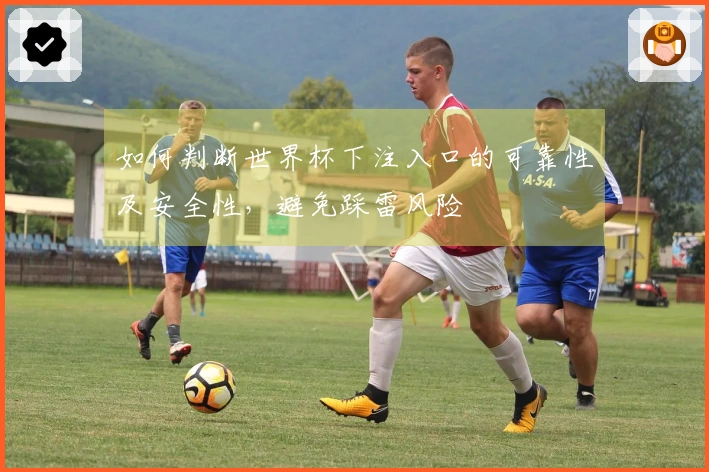 如何判断世界杯下注入口的可靠性及安全性，避免踩雷风险