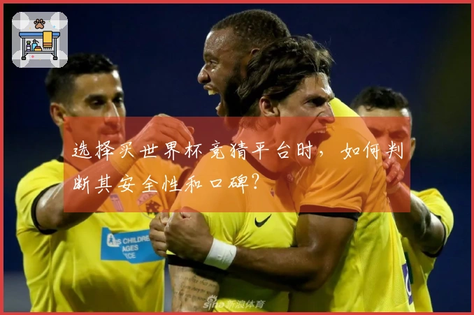 选择买世界杯竞猜平台时，如何判断其安全性和口碑？
