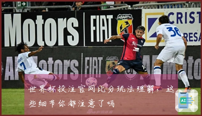 世界杯投注官网比分玩法理解,这些细节你都注意了吗