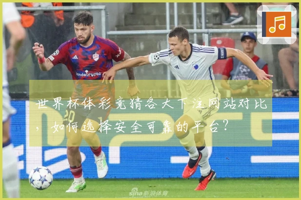 世界杯体彩竞猜各大下注网站对比，如何选择安全可靠的平台？