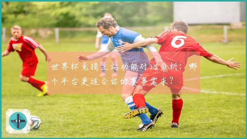 世界杯竞猜主站功能对比分析：哪个平台更适合你的赛事需求？