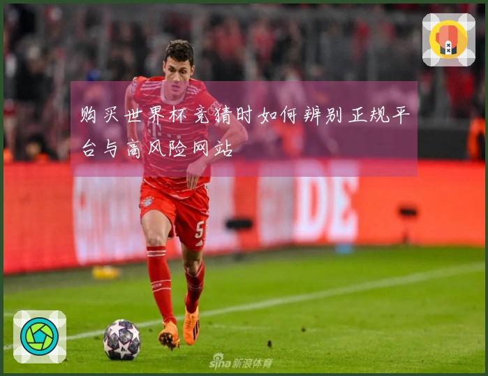 购买世界杯竞猜时如何辨别正规平台与高风险网站
