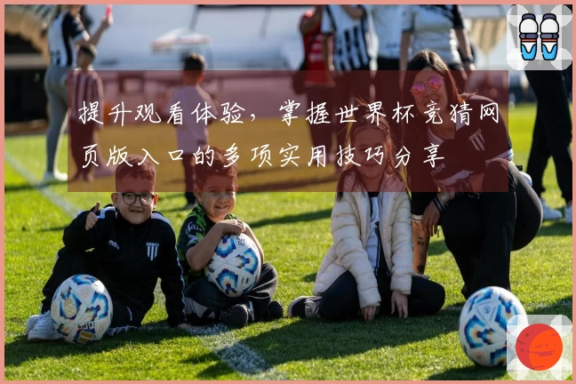 提升观看体验，掌握世界杯竞猜网页版入口的多项实用技巧分享