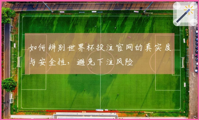 如何辨别世界杯投注官网的真实度与安全性，避免下注风险