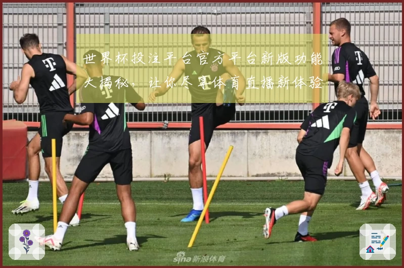 世界杯投注平台官方平台新版功能大揭秘，让你尽享体育直播新体验！