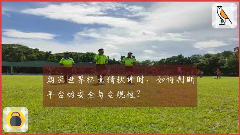 购买世界杯竞猜软件时，如何判断平台的安全与合规性？