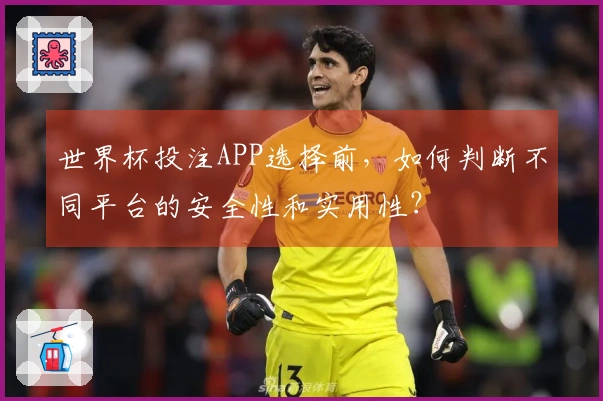 世界杯投注APP选择前，如何判断不同平台的安全性和实用性？