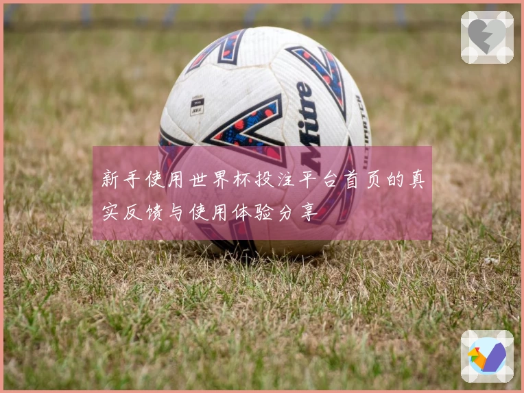 新手使用世界杯投注平台首页的真实反馈与使用体验分享
