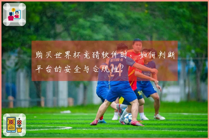 购买世界杯竞猜软件时，如何判断平台的安全与合规性？