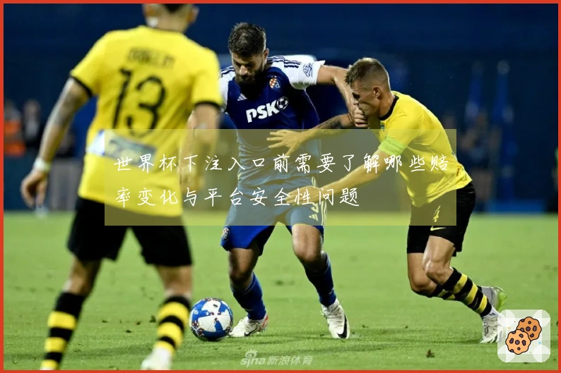 世界杯下注入口前需要了解哪些赔率变化与平台安全性问题