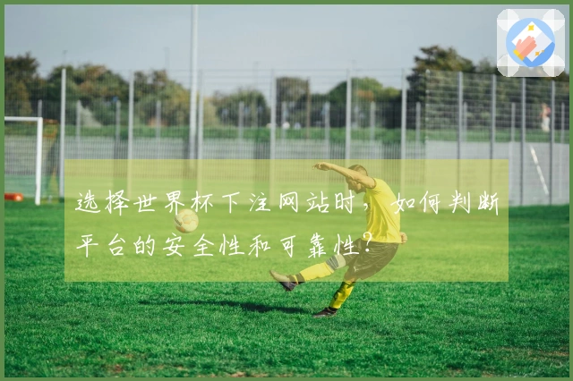 选择世界杯下注网站时，如何判断平台的安全性和可靠性？